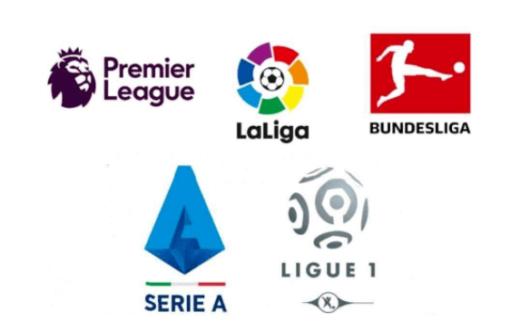 我们期待这 我们期待这